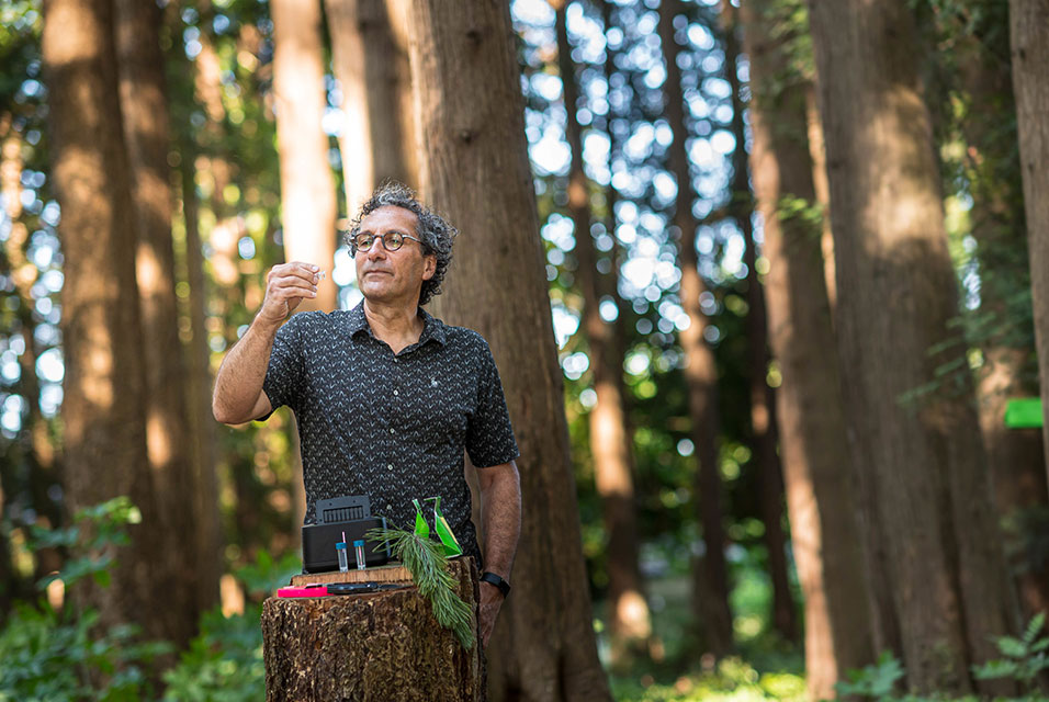 Researchnewscc's tweet image. Portable DNA device can detect tree pests in under two hours ow.ly/yzTv50AEKAS #PortableDNAdevice #treepests #science #newspaper