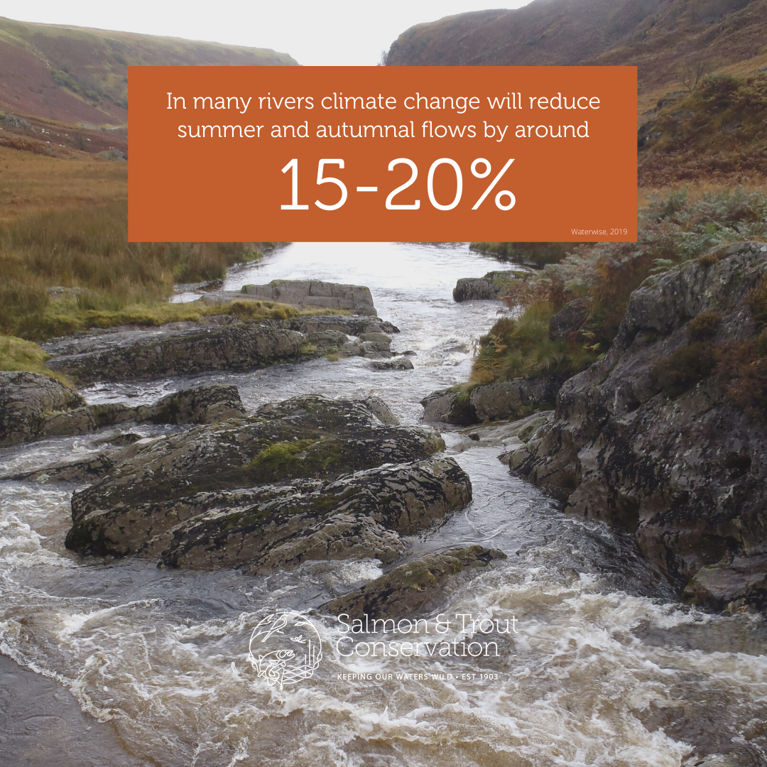 WildFishCons's tweet photo. Climate change will intensify the pressure on UK rivers, lakes and wetlands. 

The combination of more extreme and inconsistent rain events, combined with periods of severe drought will significantly alter the flow regime in our rivers #wateraction https://t.co/JG3xsNV0q1