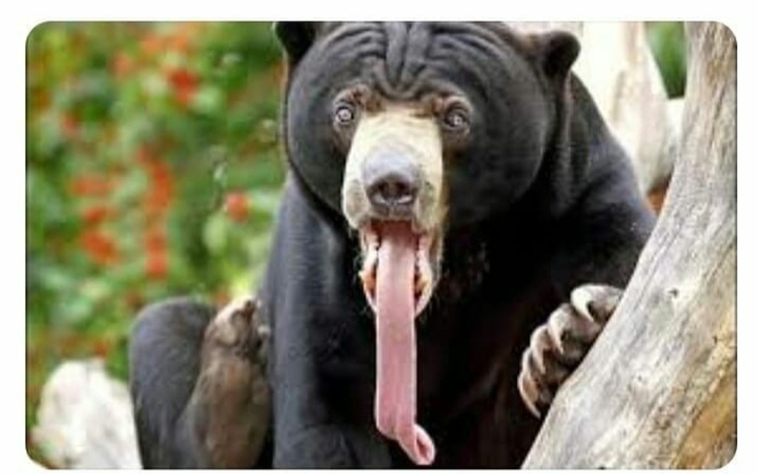 According To My Relatives 

Meri Zuban 🤨