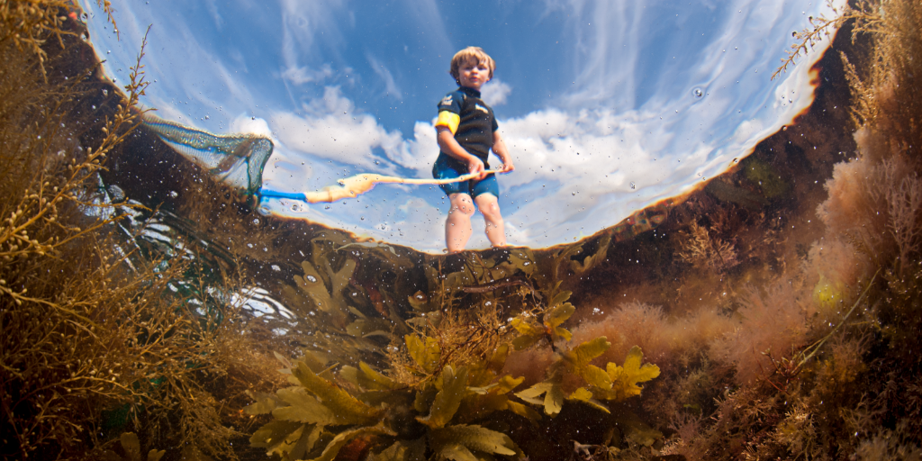LivingSeasNW's tweet photo. This year might be a bit different, but we are still running a range of virtual and beach events for you to get involved with this #NationalMarineWeek!
🌊🦀🦭
Take a look: https://t.co/UKc7V83nUW
#NMWintheNW #nmweek20
@Lancswildlife @FyldeSandDunes @cumbriawildlife @CheshireWT https://t.co/2byAy3yJ9P