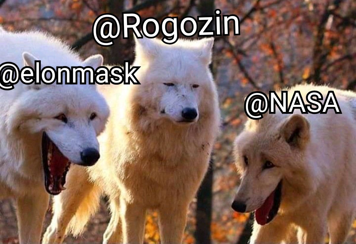 Perfect meme for the latest events
<a href="/elonmusk/">Elon Musk</a> <a href="/NASA/">NASA</a> <a href="/Rogozin/">ROGOZIN</a>