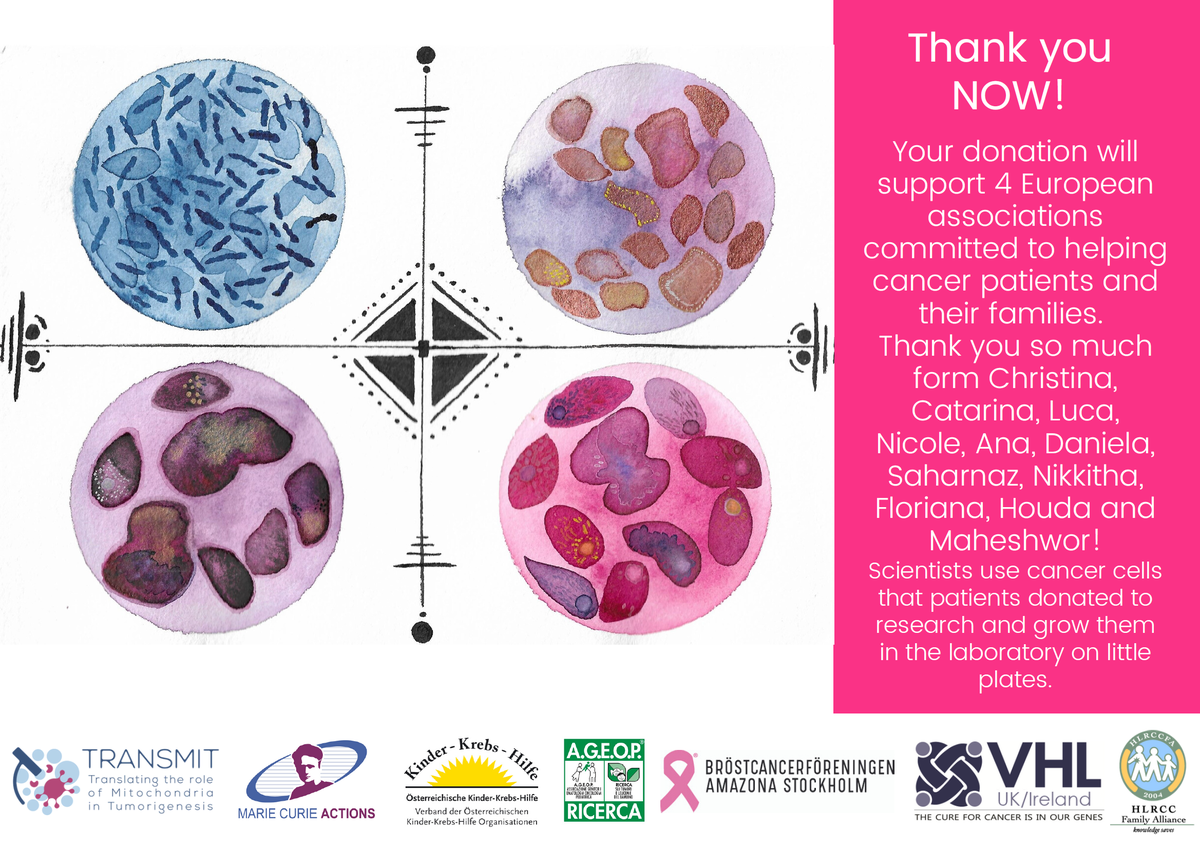 EtnTransmit's tweet photo. Final sprint NOW!
The #crowdfunding campaign of our @MSCActions researchers will end in 7 days.
Donate to support four cancer patient associations!

Keep going NOW and choose one of our rewards like a selfmade postcards communicating the beauty of science.
https://t.co/rzLd31EVjG https://t.co/IWePjE0h5F