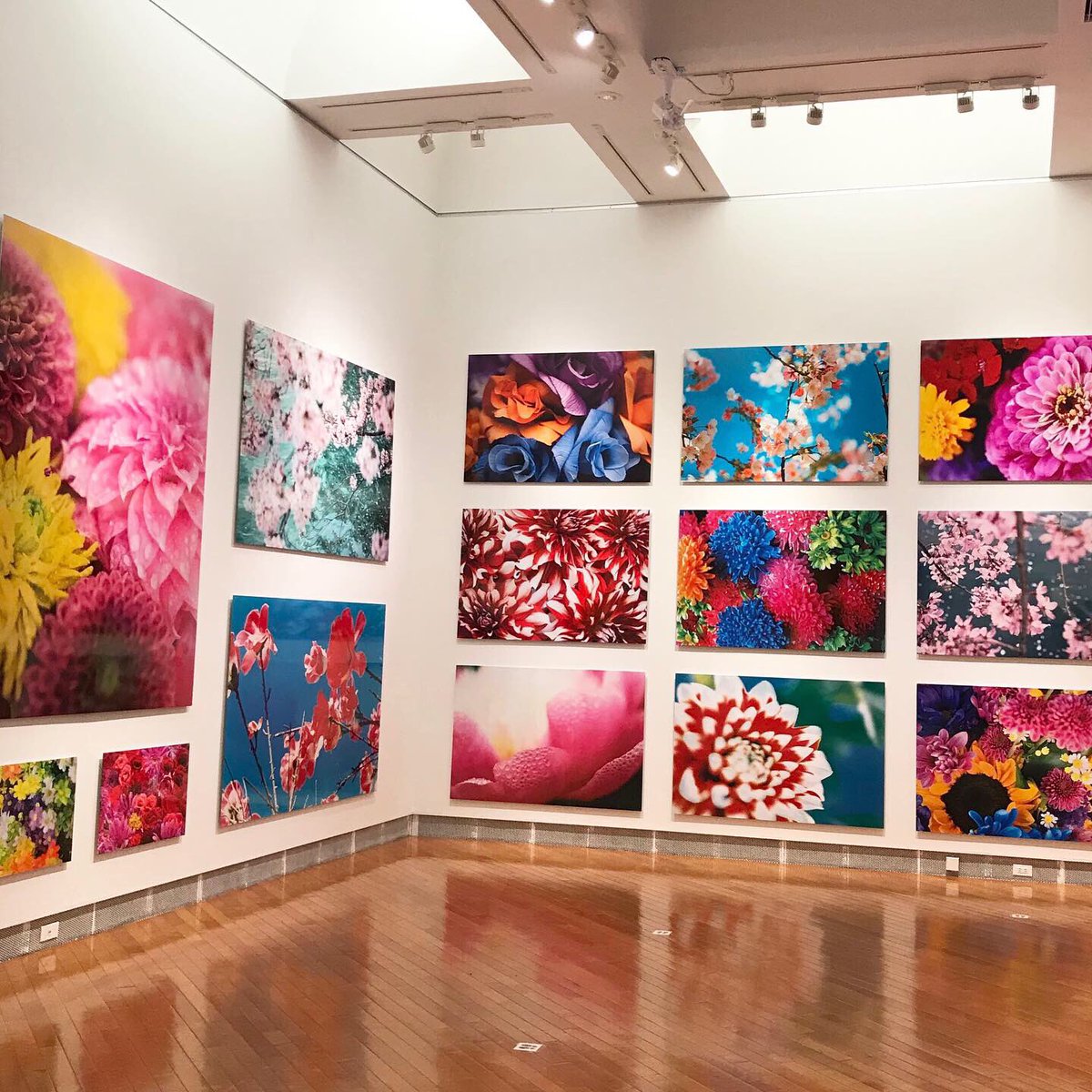 Stvイベント 蜷川実花展 開催中 展示室に入ってすぐ目に飛び込んでくる色鮮やかな花々 心満たされるひとときをお楽しみ下さい 現在 8 9 日 までの日時指定券を販売中 詳しくはこちら T Co Ipftwrja0d 蜷川実花展札幌 札幌芸術の森 Stvイベント 蜷川実花展 開催中 展示室に入ってすぐ目に飛び込んでくる色鮮やかな花々 心満たされるひとときをお楽しみ下さい 現在 8 9 日 までの日時指定券を販売中 詳しくはこちら T Co Ipftwrja0d 蜷川実花展札幌 札幌芸術の森