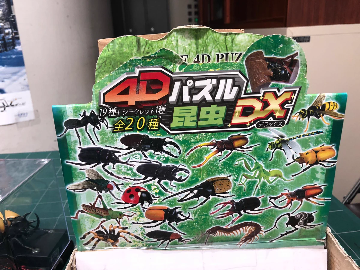 栃木県立博物館友の会 on X: 