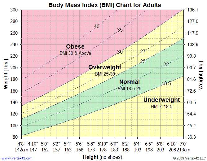 BMI is a measurement of a person's leanness based on their height and weight. It is calculated by dividing weight in kilograms by height in meters squared.It was devised in the 1830s. 100 years later, it was adopted by insurers and some researchers studying obesity