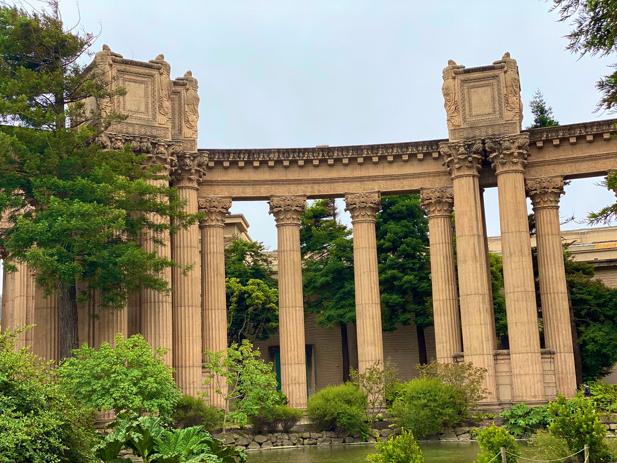 turtle797's tweet image. I am loving California 🥰