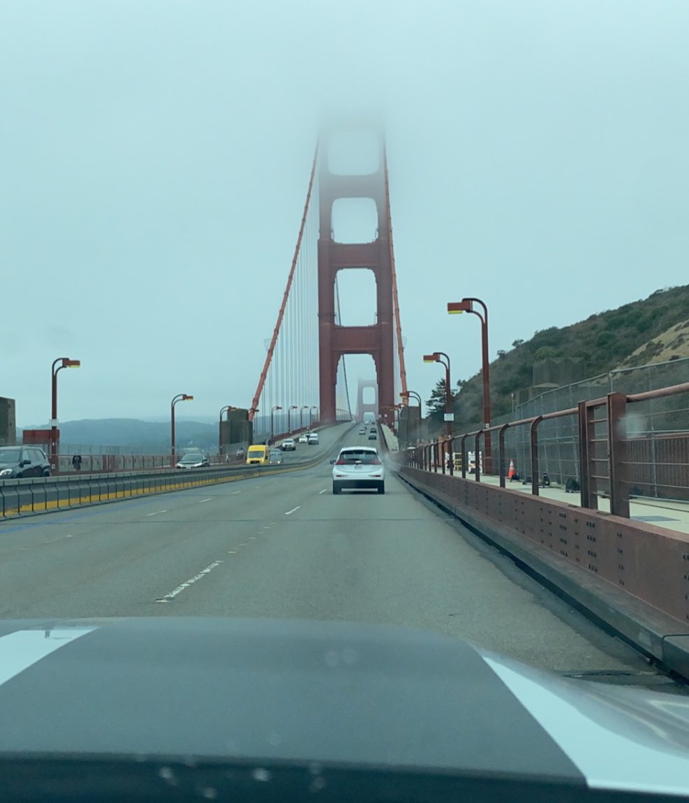 turtle797's tweet image. I am loving California 🥰