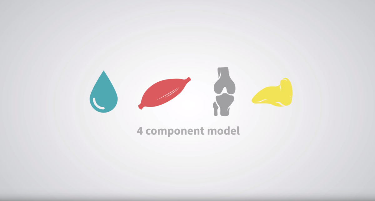 Your height & weight only tells you half the storyThe irony of the BMI misclassifications is that it “actually misses more than half of people with excess body fat”Your body weight is mainly made up of - Muscles & Organs- Body fat- Water- Bone