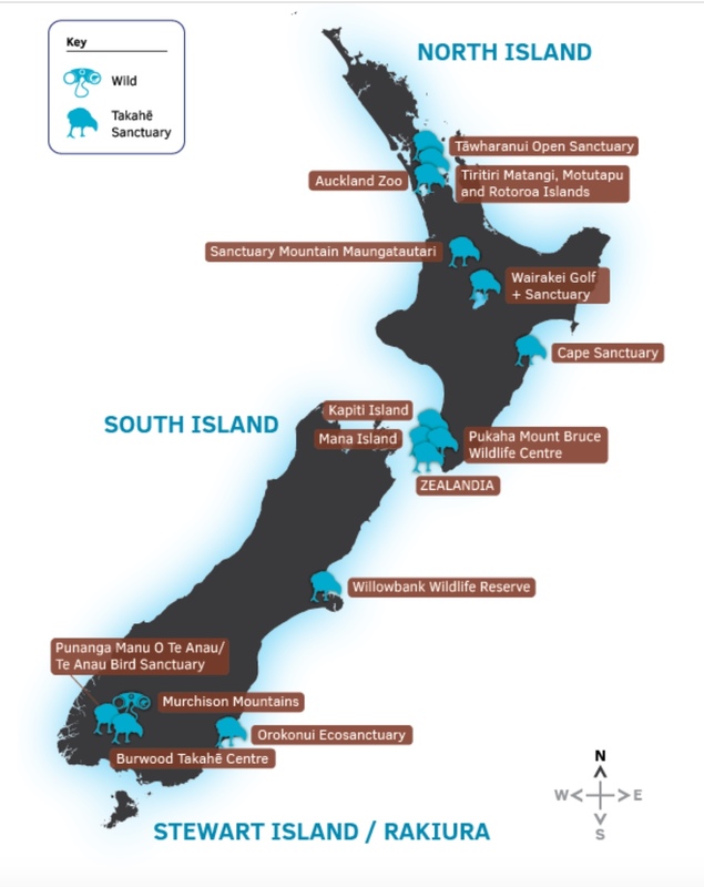 Thankfully the takahē population is now up to over 400 birds, and a second wild site, combined with the sanctuary populations has meant a decrease in threat classification. You can see them at  @aucklandzoo  @ZEALANDIA  @rotoroaislandnz  @NZEcosanctuary  @pukahaorgnz and others.