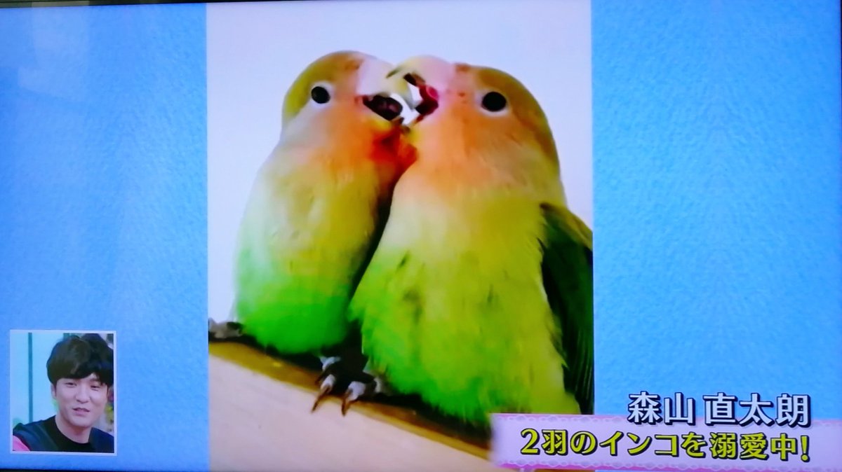 7月22日 徹子の部屋で 森山直太朗 が話題に トレンドアットtv