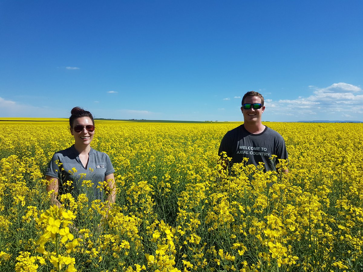 Page__Newton's tweet photo. Shout out to Nikki Bokvist @SthCntryCoop High River for setting up @canterraseeds CS2600CR-T SXS #canola trial with #supercooperator Riley Riehs! Can't wait to see this CS2600 #bushelup #Early #clubroot #TruFlex https://t.co/9puBuLUSvO