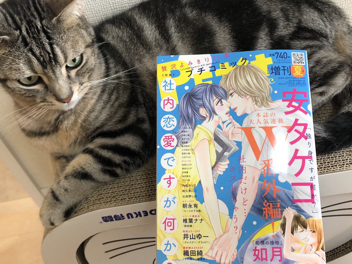 ?お知らせ✨
只今発売中のプチコミック増刊夏号に猫ショート「にゃんDK」掲載して頂いてます♡太り気味のおこわ?運動させようとがんばるマキ?だけど…実体験がもとでもはや実録ですが?よろしくお願いします…? 