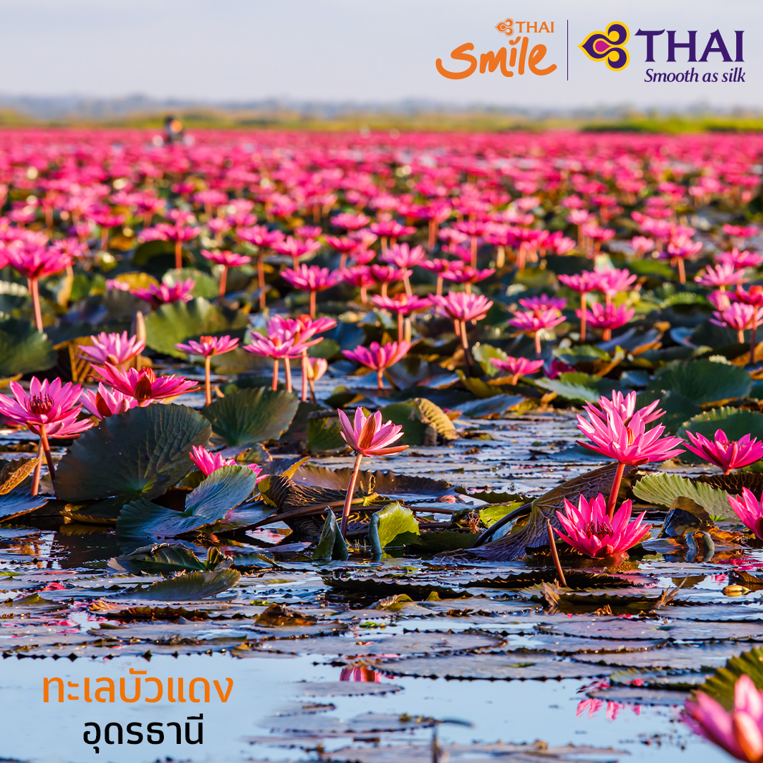 ThaiSmileAirway's tweet photo. #ก็เมืองไทยน่าไปทุกที่
เมืองไทยมีสถานที่ท่องเที่ยวมากมาย รอให้คุณออกเดินทางไปสัมผัสกับความสวยงามอีกครั้ง ไทยสมายล์ขอพาคุณมาเพิ่มสีสันในการท่องเที่ยว กับ 5 แลนด์มาร์คชื่อดังที่คุณต้องหลงใหล
#THAISmile #THAISmileAirways #ThaiAirways #SmileTouch #Thailand https://t.co/G62TsWNYo8