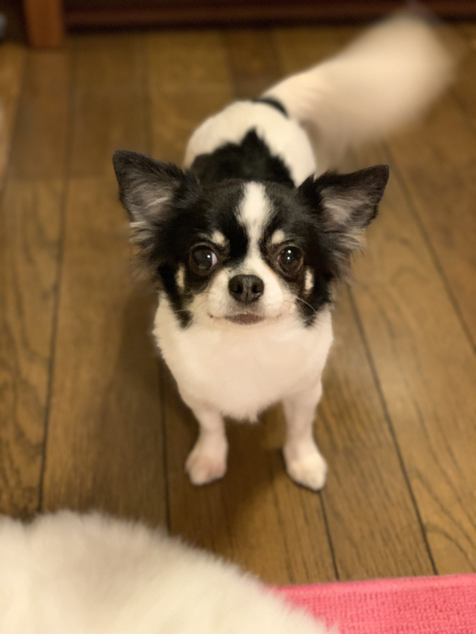 恵み野 Twitter Search Twitter