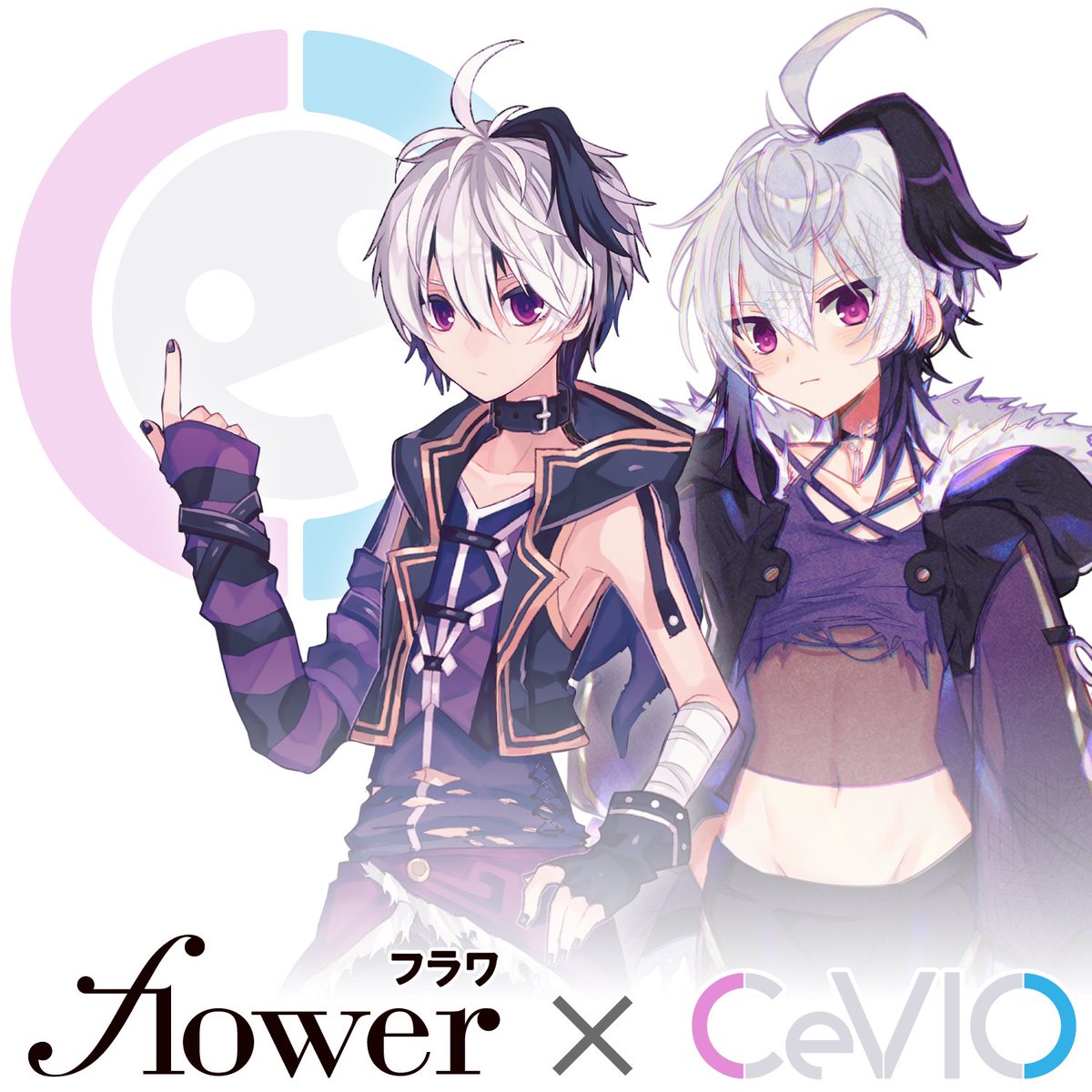 𝒇lower V Flower ブイフラワ 公式 V Flower Jp Twitter