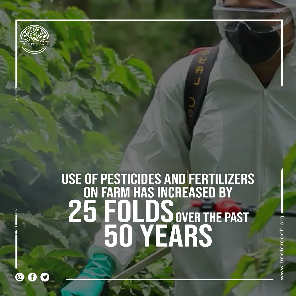 treeforeach's tweet photo. Use of pesticides and fertilizers not only fuels the crop production but also contaminates land, water streams, underground water, soil, health issues &amp; kills non-target organisms. #wisdomwednesday 
#treeforeach #sayno #pesticides #fertilizers #growyourowngardern #eathealthy #NGO https://t.co/DLJV3ILhL2