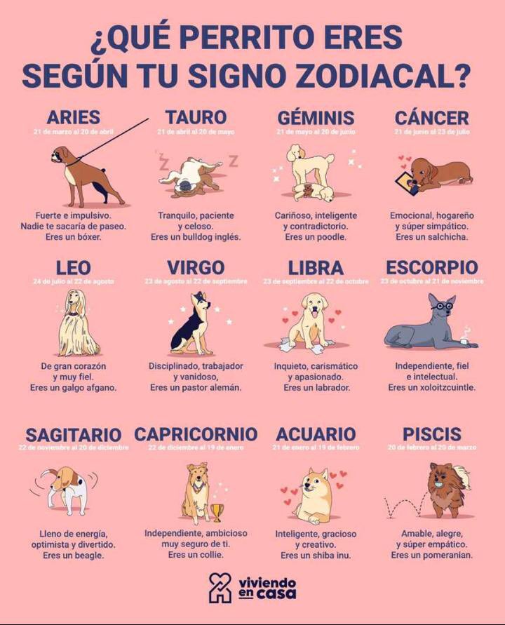 <a href="/Perrosenlacalle/">Alfredo Marquez T.</a> <a href="/SuavesLomitos/">Lomitos Suavecitos</a> <a href="/lomitosmx/">Lomitos México</a>