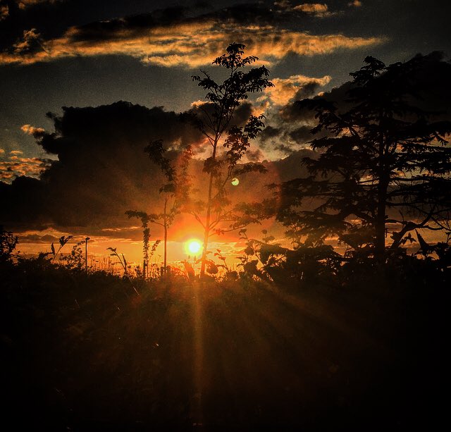 Be thankful to those who show you kindness. We rise by lifting others. Show gratitude daily. Have #Faith. Love one another  #wednesdaymorning #WednesdayWisdom  <a href="/JoJoDiamonds/">JoAnn DiClaudio</a> <a href="/KMFras/">Lady Kathleen Frascona</a> <a href="/SimonettaLein/">Simonetta Lein</a> <a href="/LoriMoreno/">#InfluencerMarketing Host</a> <a href="/Jessicasquared9/">🔥 NOT YOUR DIVINE ANGEL 🔥</a> @momosaansd <a href="/suziday123/">Suzi Day</a> <a href="/CattMcCreary/">Catt McCreary</a> @mfarca ❤️