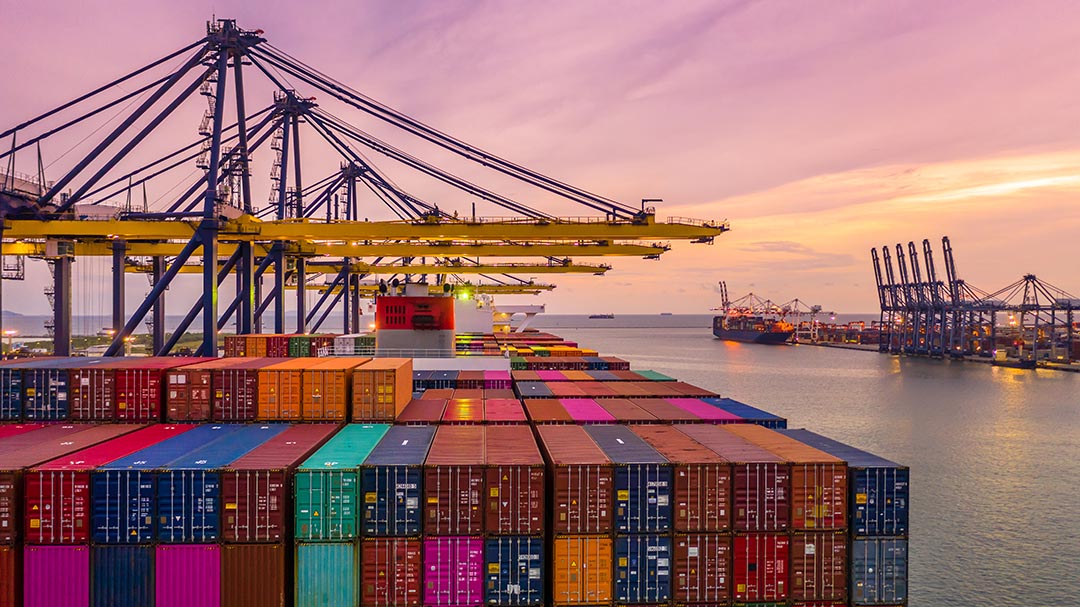 Amassfreightdu1's tweet photo. We are a neutral Sea LCL Consolidation Service Provider to serve the UAE market and are a part of the Amass Group in China. 

#UAEShipping #Logistics #LogisticsUAE #seafreight #seafreightdubai #shippingworldwide #shippingmiddleeast #Dubai #UAE https://t.co/UyJ7pfqEep