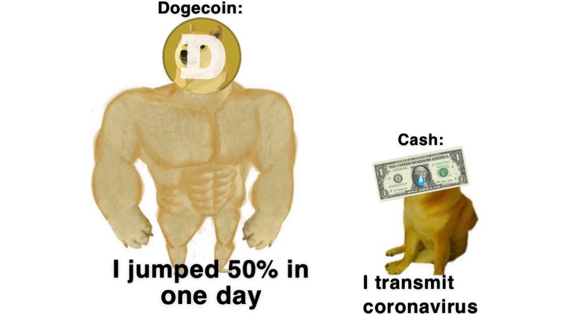 Sean97788748's tweet photo. @elonmusk Dogecoin https://t.co/vms8Y17GBX