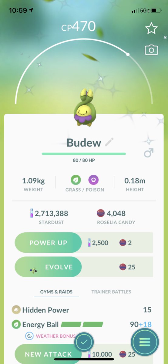 Well hello random 5k #shinyhatch! Second #shinyBudew! #PokemonGo #shinybaby #illtakeit #nocomplaints