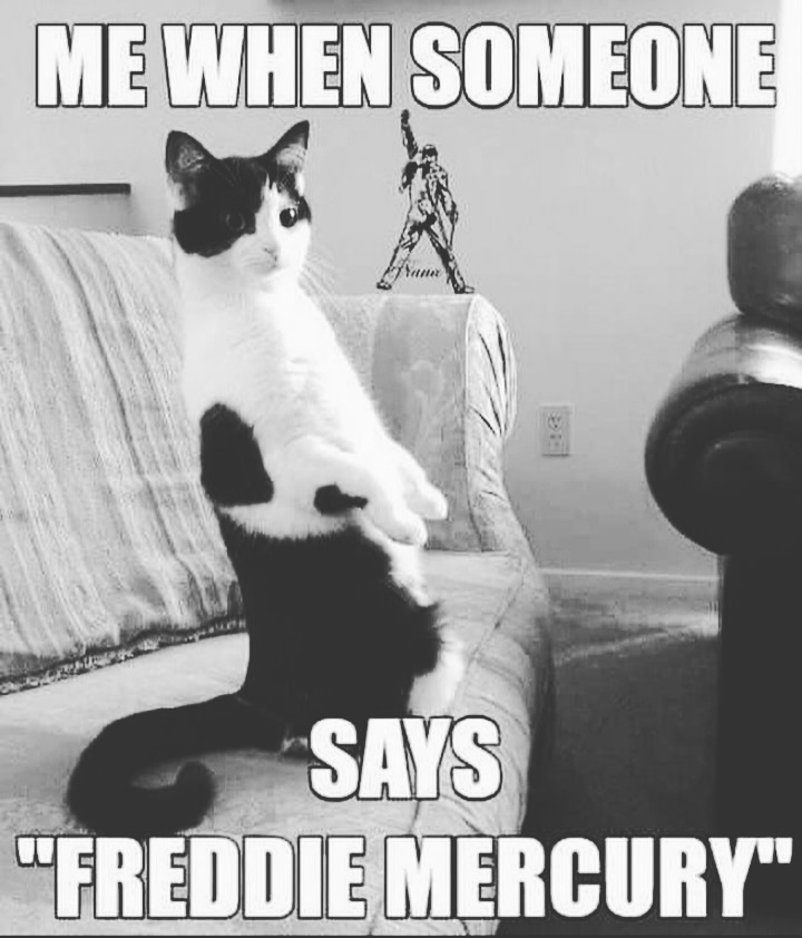 Queen_At_The_Opera tweet media