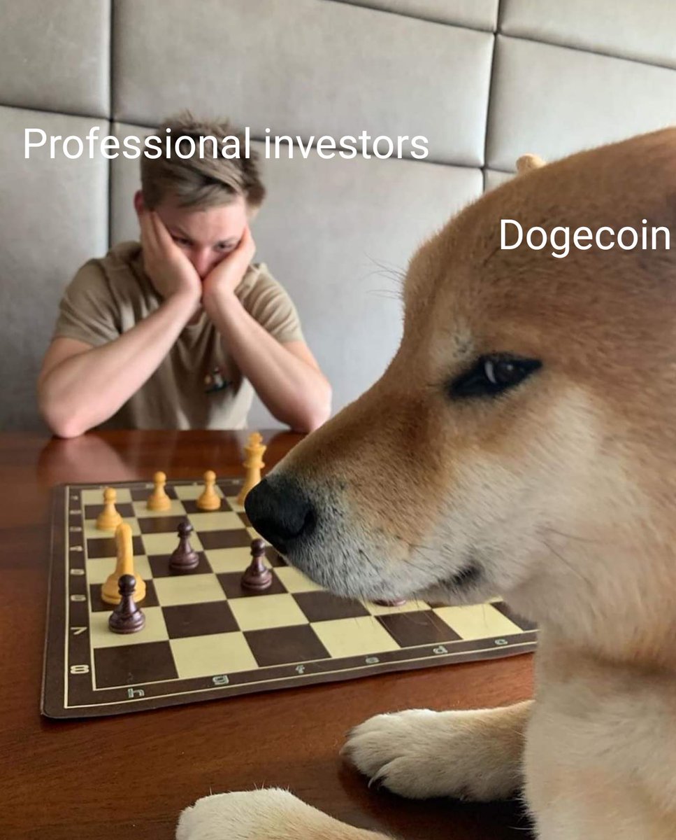 NeziahStone's tweet photo. @elonmusk #dogecoin https://t.co/eIZbQsFSZ2