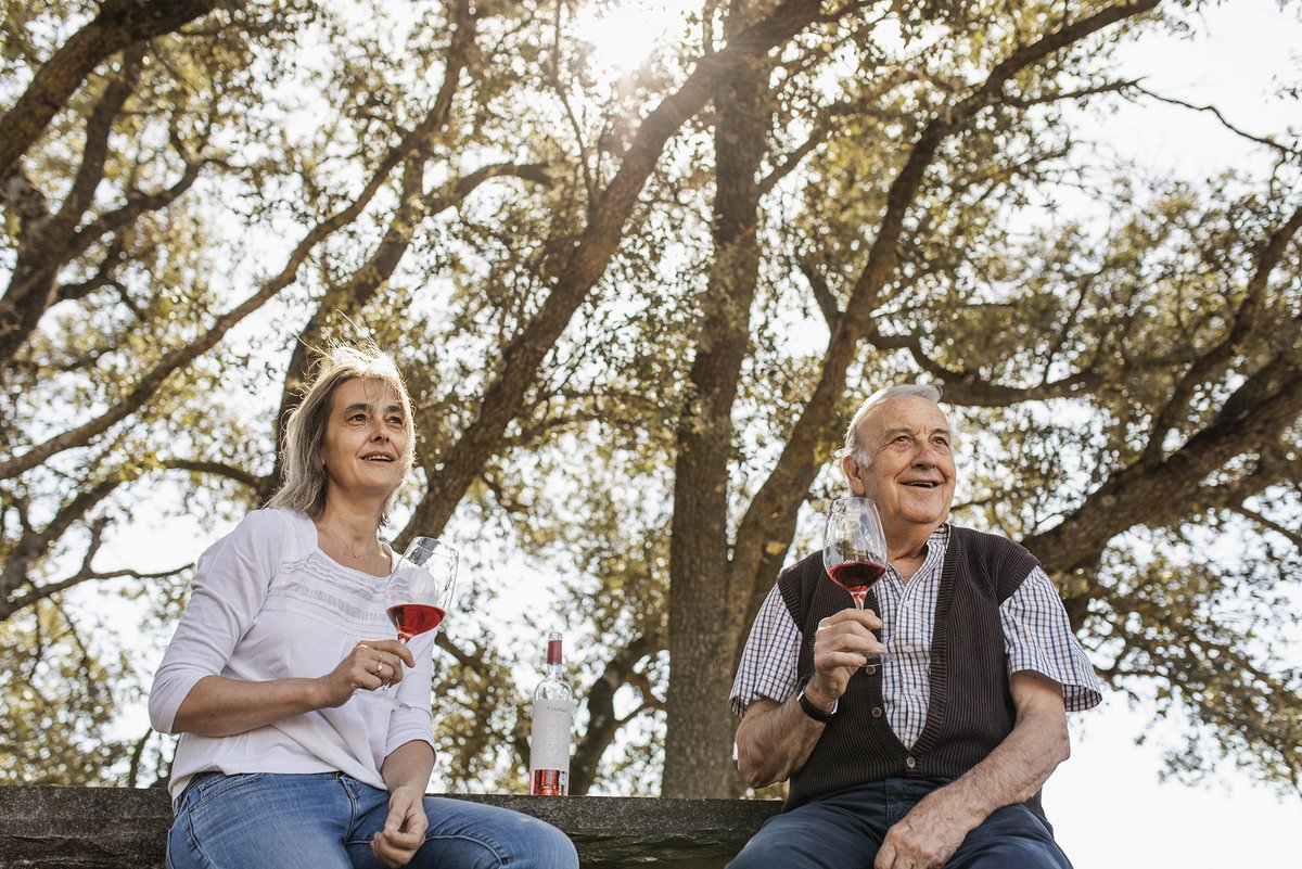 RutadelVideLleida tweet media