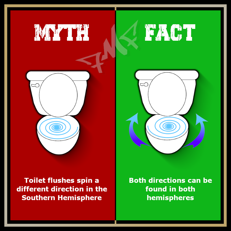 fairmeanorfoul's tweet photo. π½π¦ππ
#mythvsfact #mythvstruth #sciencemyths https://t.co/dK53IaIyrg