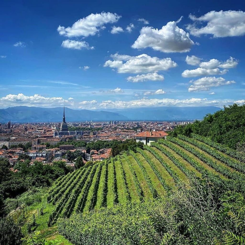 presenta
.
📍#villaDellaRegina
AUTORE  @enricalea
L O C A L M A N A G E R  @adrianaobertophotography
T A G  #ig_turin #ig_turin_ #ig_torino
M A I L  piemonte<a href="/igworldclub/">igworldclub</a>.it
S O C I A L  Facebook.com/igpiemontevall… • Twitter
HUB  @igworldclub
COUNTRY <a href="/ig_italia/">@ig_italia</a>
TEAM  <a href="/ig_pi/">igor</a>…