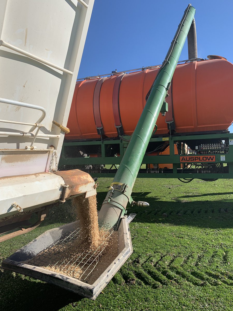 rohan_thorn's tweet photo. If you ever find yourself bored in July, just plant some oats for fodder. It’s really the funnest. #butnotactually https://t.co/nXEU9tyTC2