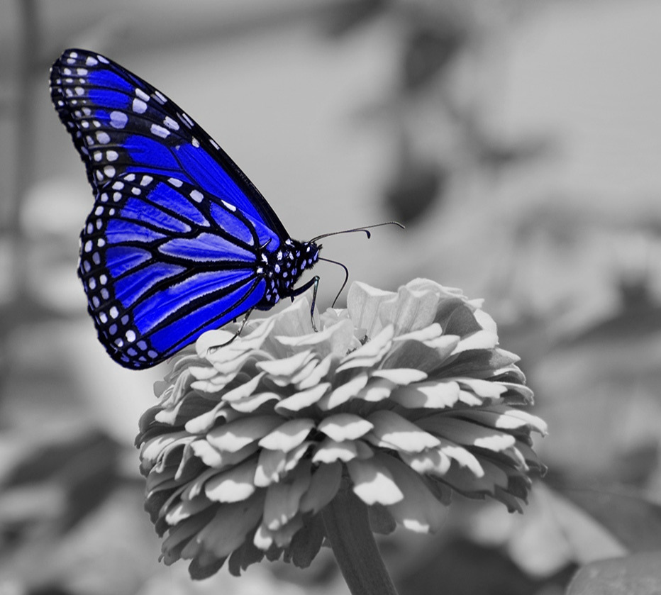 LanaToro21's tweet image. #MyLifeExperience🤓 #StatisticalData 
Gossips ruined so many Friendships...

1. If a man gossips about lady, usually he was denied by her;

2. If a woman gossips about other woman, she is envious of features she doesn't possess.

Always talk directly to a person💯