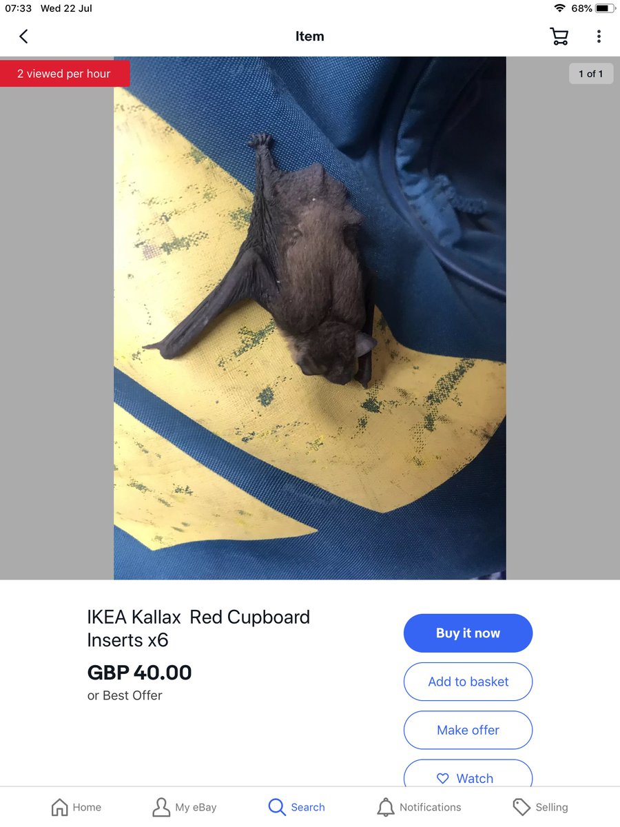 It always amuses me when people don’t check their eBay advert photos before going live 😂 unless <a href="/IKEAUK/">IKEA UK</a> have changed their products dramatically since I last went there?