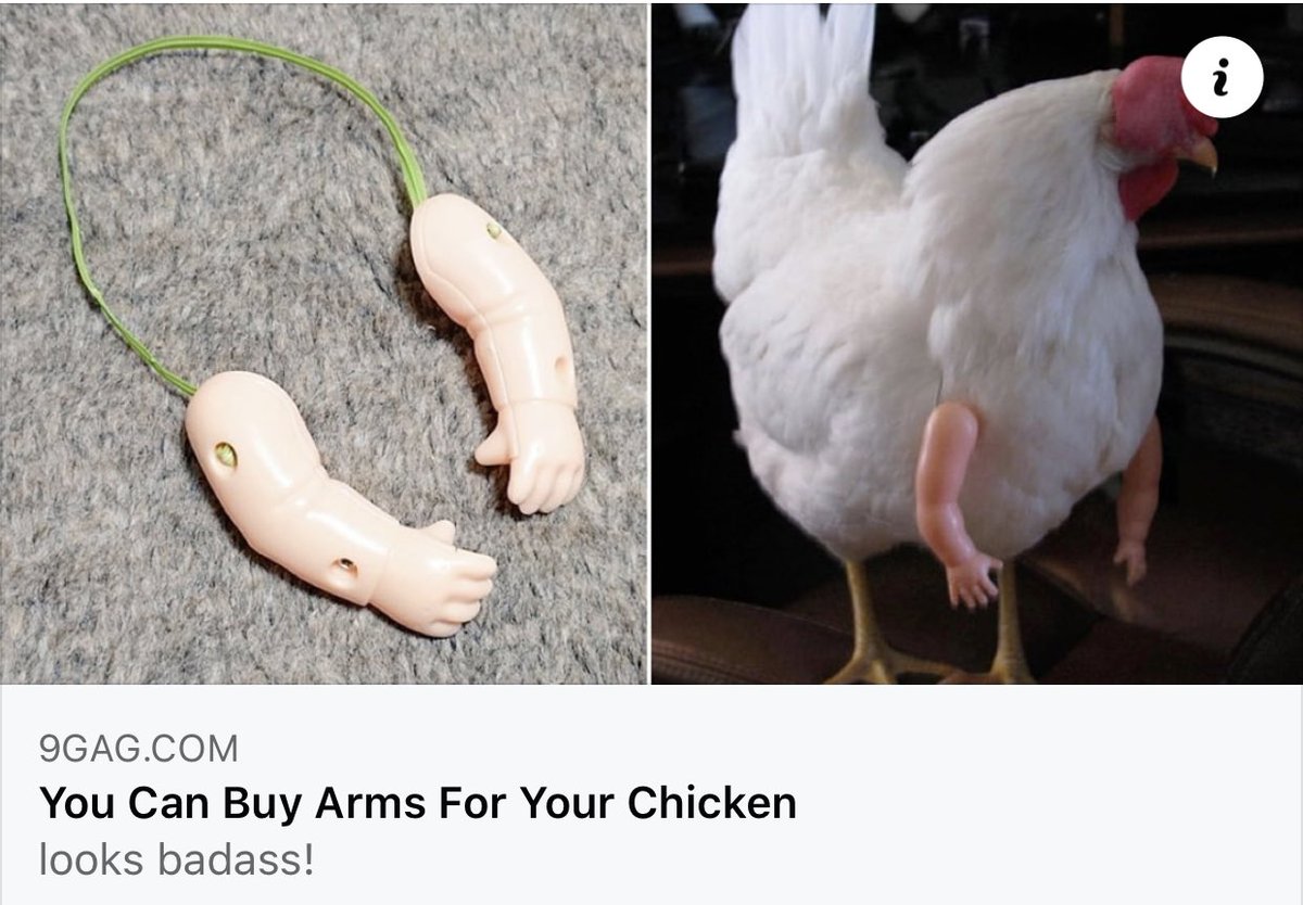 Melanie Bracewell tweet media