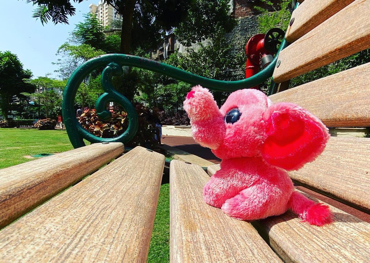 brewathought's tweet photo. Read our story today about a #travel company @pink_journeys and what they did during the #lockdown 

https://t.co/9FwLdK7stc https://t.co/egU94DqSXX