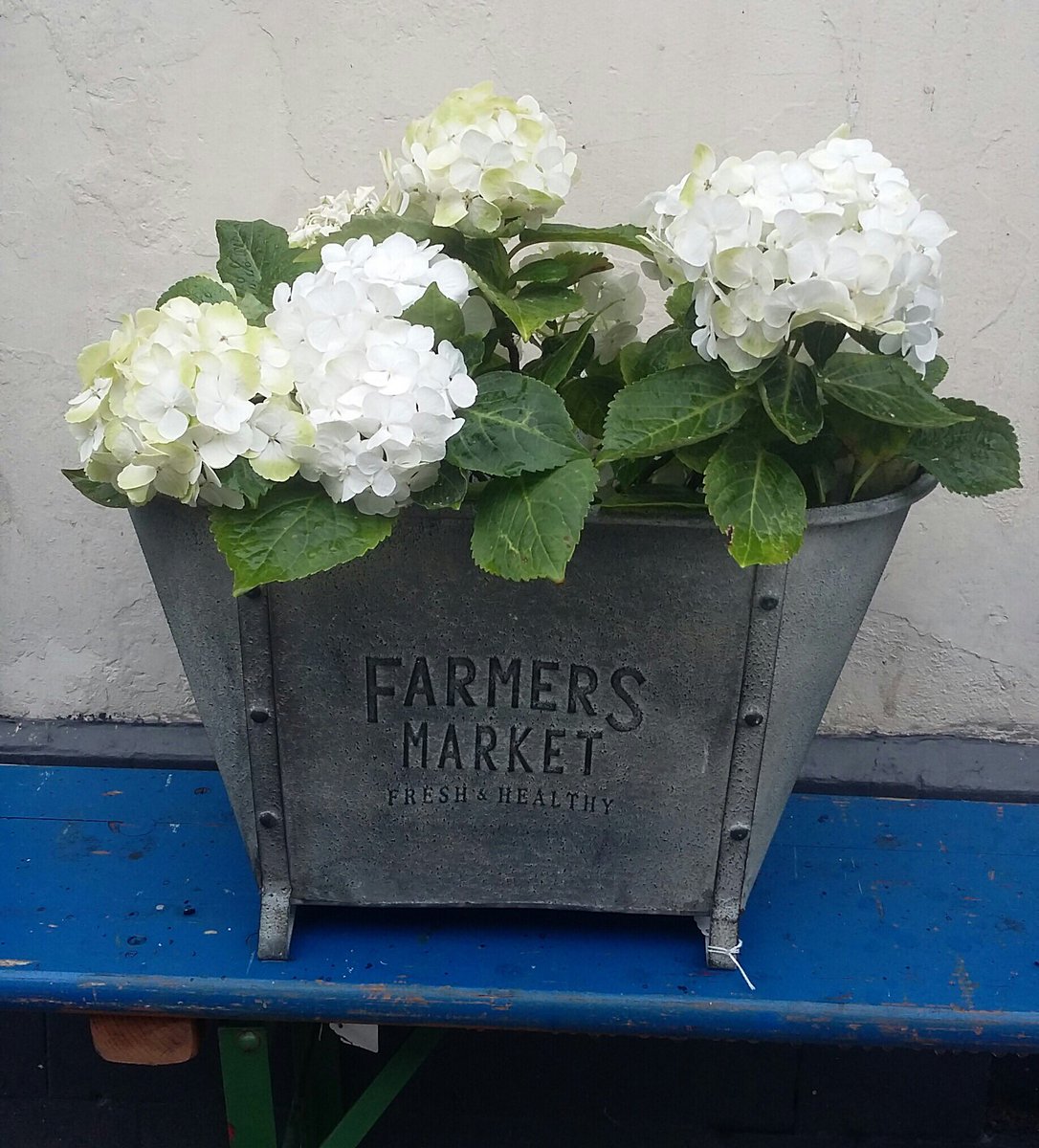 Rustixx1's tweet image. Good morning here’s a cheery little planter