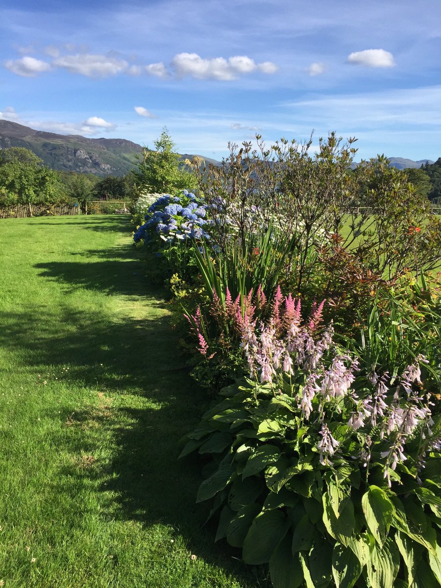 Derwent Hill tweet media