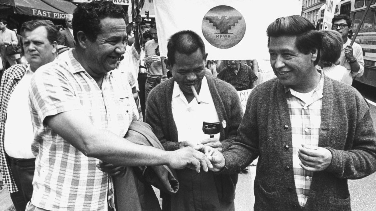 On solidarity: The historic Delano grape strike was started when Filipino grape workers (led by Larry Itliong and the AWOC) and Mexican grape workers (led by NFWA) realized one thing:As as long as those white growers could play them against each other, nobody would win. (1/)
