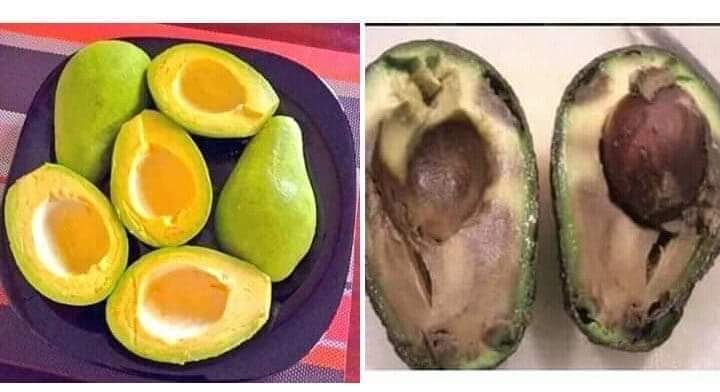 richander_'s tweet photo. Celebrities on Social Media Vrs when you finally meet them in Reality 🥴🥴🥴 https://t.co/OU7fqVsWtr