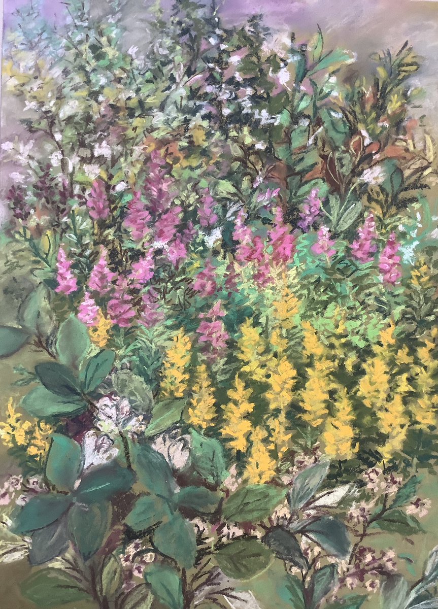 AnneMackinnon3's tweet photo. There’s a mass of these glorious, golden flowers, blooming @ the entrance to #Farfieldmill. They remind me of my Mum’s garden but I can’t remember what they’re called! #pasteldrawing #artist #lovesflowers #paintsgardens #sedbergh #YDNP #watercolours https://t.co/sUihFAvuQL