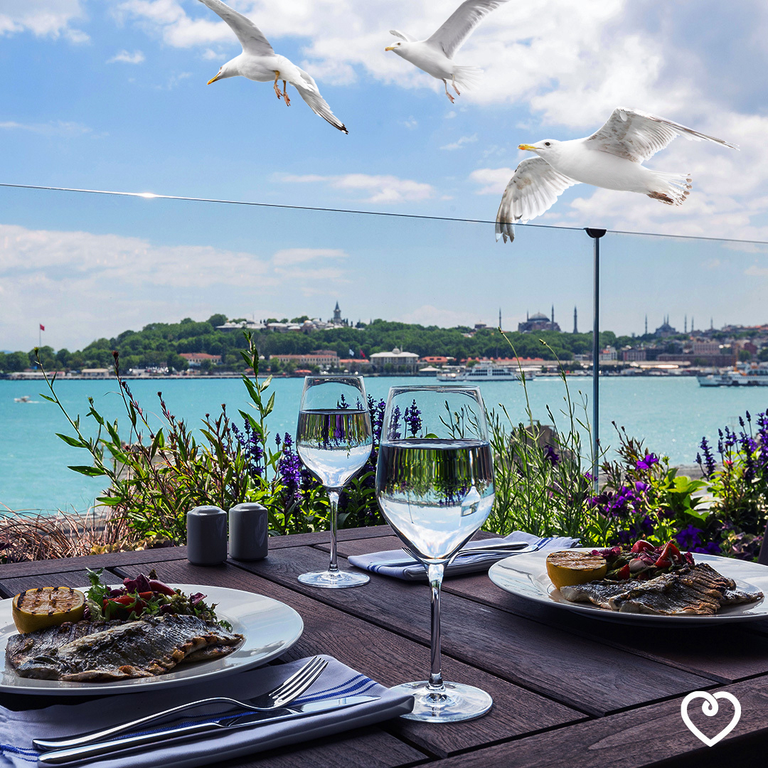 istanbulcom's tweet photo. We will have many more delicious dinners at the beautiful restaurants of Bosphorus, the pearl of Istanbul, while we are watching the sunset and enjoying the dance of seagulls.

The days that we come together so that you will have the holiday you have been missing are very close! https://t.co/tZUGXkHKpy