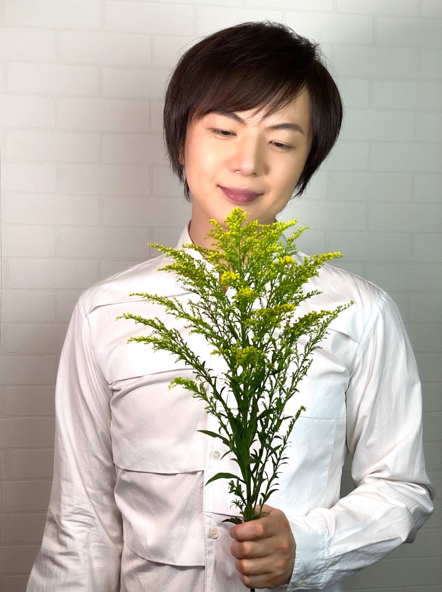 竹島宏スタッフ 公式 ソリダコ 花言葉は 永久 １日も早く皆さんの笑顔 にお会い出来る日を楽し みにしています ひろネット 花 Flower 花言葉 花を贈ろう 花のパワー 花の癒し ソリダコ 晴れ 黄色 T Co Hirwqtpprr Twitter