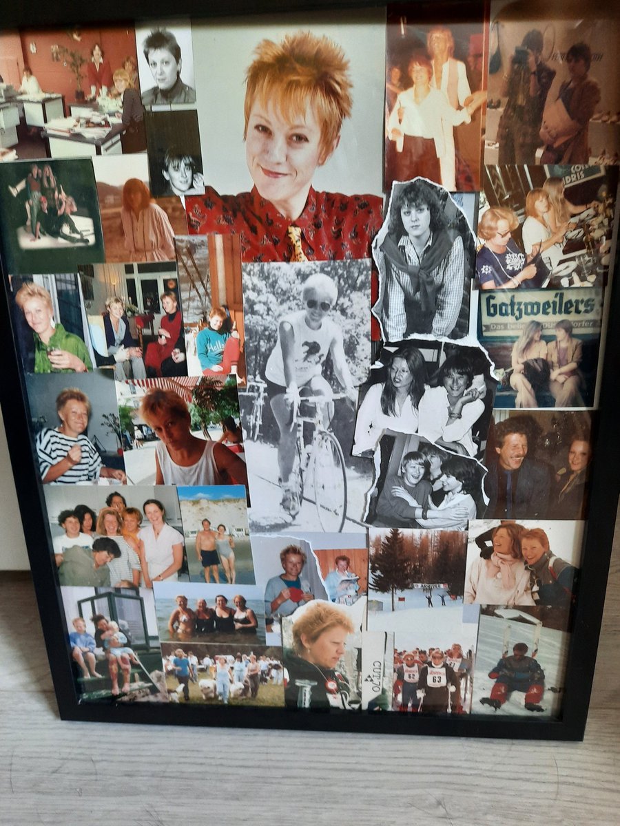 ellen van ree tweet media