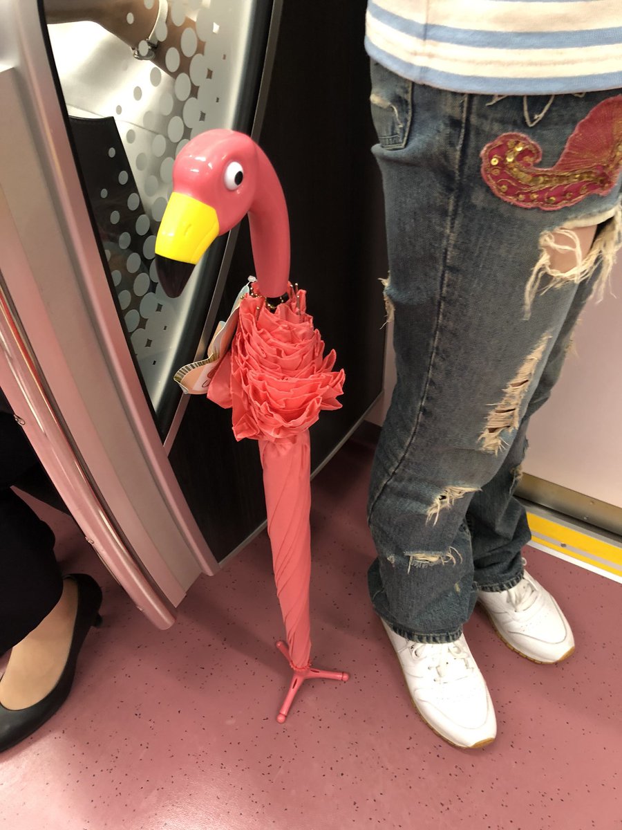 Miokoumon の画像 動画一覧 Whotwi グラフィカルtwitter分析