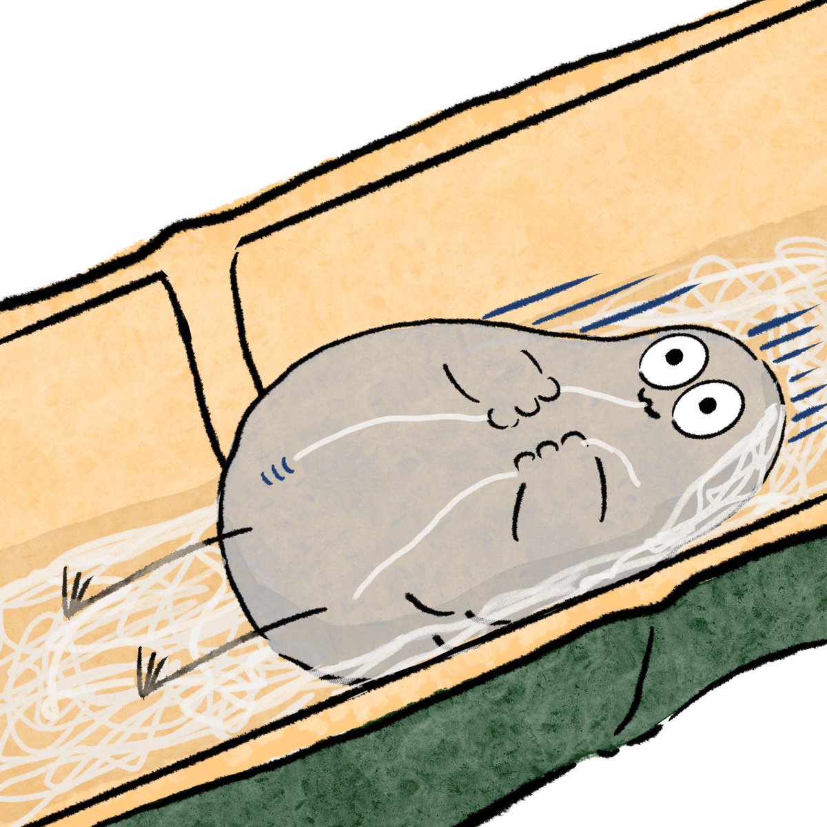 ハトくん あああ雑貨店 シャーーーーッ あああ雑貨店 イラスト キャラ キャラクター イラストレーター イラストレーション らくがき お絵かき お絵描き デジタルイラスト ゆるい絵 ゆるいらすと 絵描きさんとつながりたい ゆるい ハトくん あああ雑貨店 シャーーーーッ あああ雑貨店 イラスト キャラ キャラクター イラストレーター イラストレーション らくがき お絵かき お絵描き デジタルイラスト ゆるい絵 ゆるいらすと 絵描きさんとつながりたい ゆるい