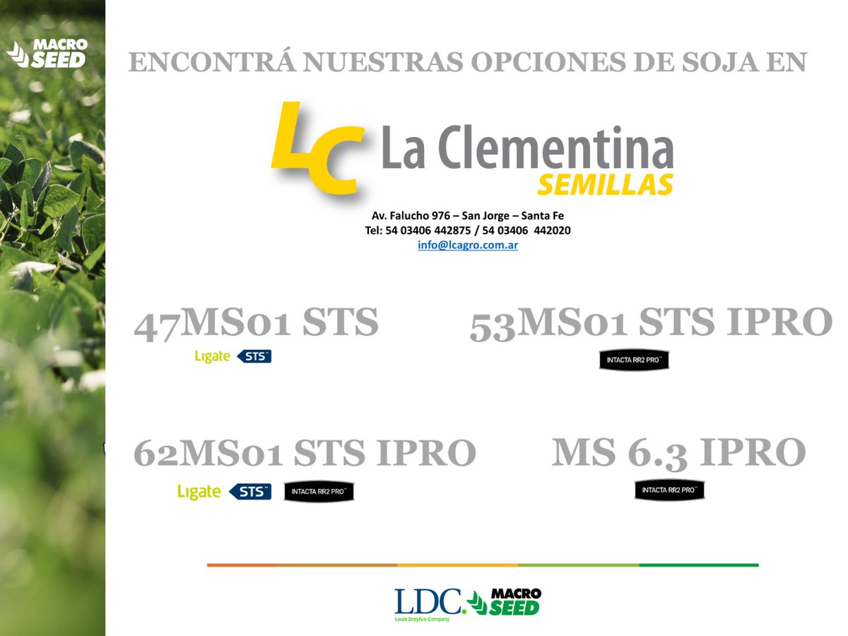 MacroSeed | LDC tweet media