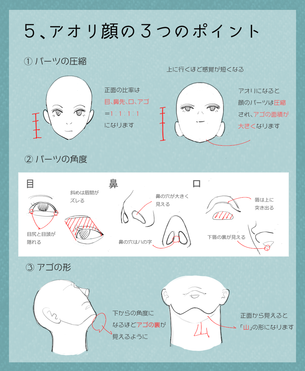 能登ケイ イラスト講座 Twitter પર アオリ顔の描き方のコツ アオリの角度の顔を描くときの3つのポイント 顔のパーツの圧縮 各パーツの角度 アゴの形 特にパーツの圧縮が大切で アゴの面積を広く 口から目にかけて間隔を短くしていくだけでアオリの角度は
