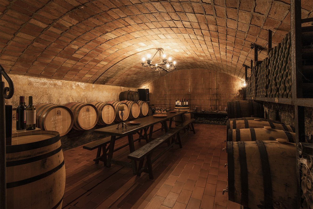 RutadelVideLleida tweet media