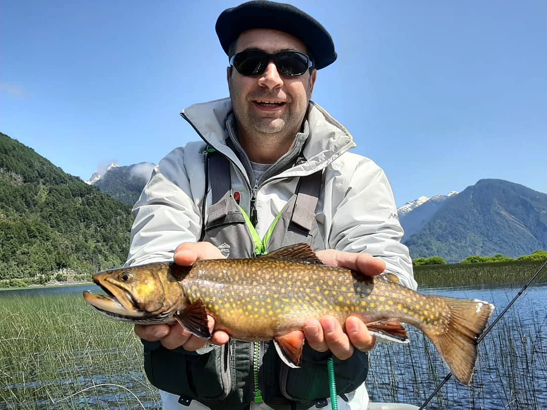 Matapiojoangler's tweet photo. Brook Power💪💪💪
Congrats Jorge
Good memories season 2019-2020
.
#chile #patagonia #matapiojolodge #yelcholake #brooktrout #flyfishing #fishingtrips #fishingpatagonia #simmsfishing #orvisfishing #sagefishing #rioproduct #sunnyday #photooftheday https://t.co/22uhxOkrt0