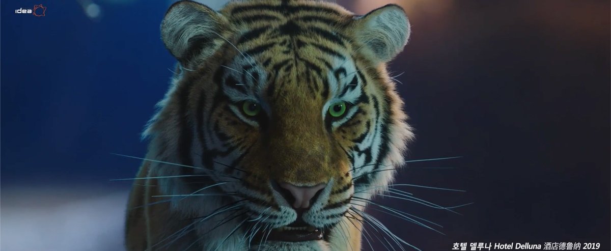 ArtofVFX's tweet photo. Don't miss this really cool new #showreel by #Korean studio #DigitalIdea featuring their #VFX work on #Ashfall, #ShanghaiFortress, #HotelDelLuna and many more: https://t.co/GKr0SZ52x8 https://t.co/hgoKqLvfPn